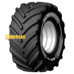 CereXbib 2 CFO+